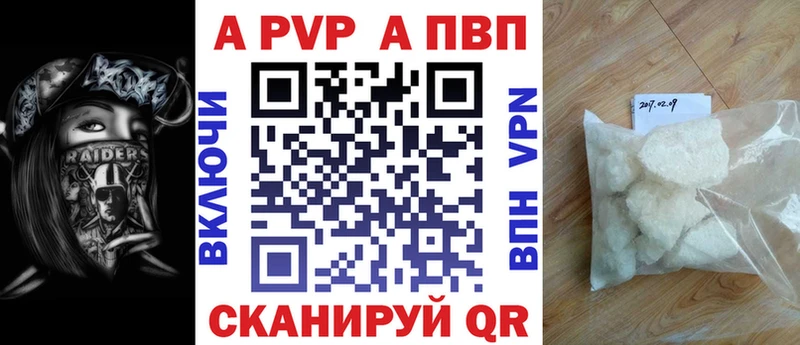 Альфа ПВП СК КРИС  Луга 