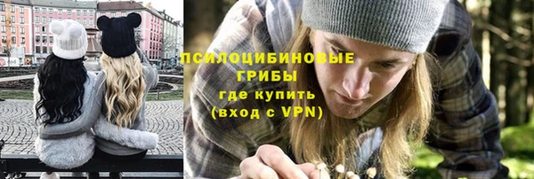 стаф Ладушкин