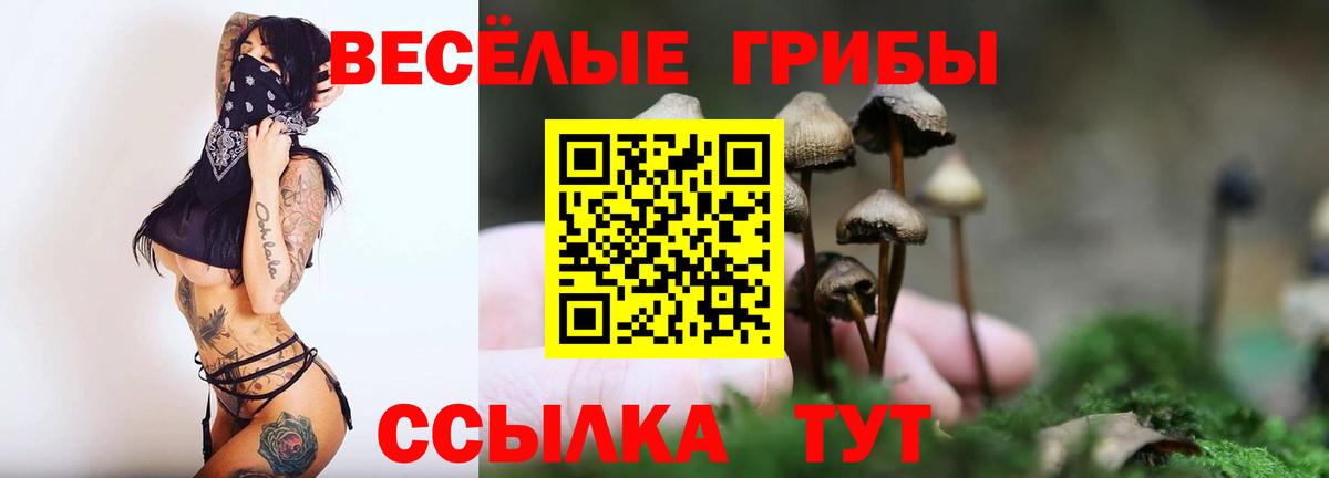 Псилоцибиновые грибы Psilocybine cubensis  Галлюциногенные грибы мицелий  Вход с VPN  Луга 